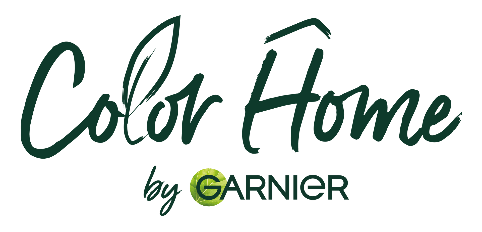 Color Home New Logo