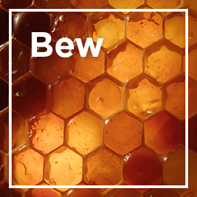DMI_IngredientLP_02_Beeswax_stills_intl_mar2023