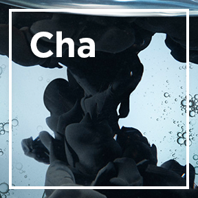 DMI_IngredientLP_02_Charcoal_stills_intl_mar2023
