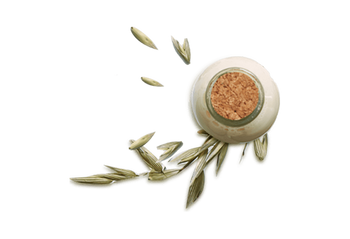 ultimate-blends-oat-milk