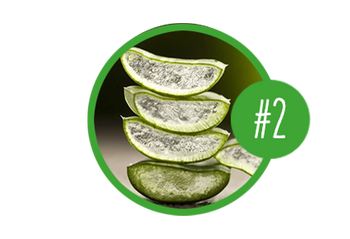 ultimate-blends-how-tos-article-2