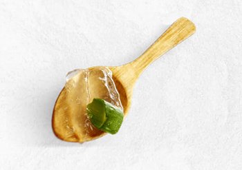 ultimate-blends-meet-our-ingredients-aloe-vera