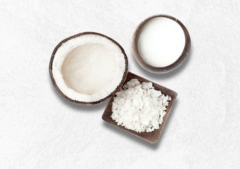 ultimate-blends-meet-our-ingredients-coconut-milk