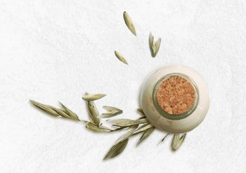 ultimate-blends-meet-our-ingredients-oat-milk