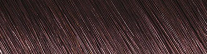 Reddish Brown Hair Dye | Nutrisse | Garnier