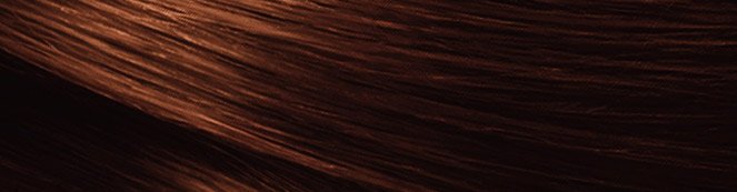Dark Golden Brown Hair Dye | Nutrisse | Garnier
