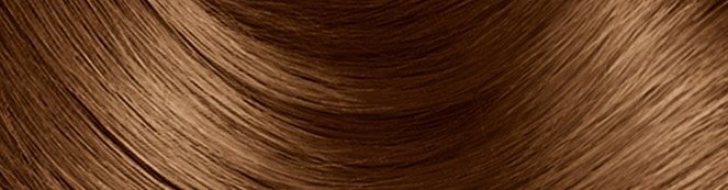 Golden Brown Hair Dye | Olia | Garnier