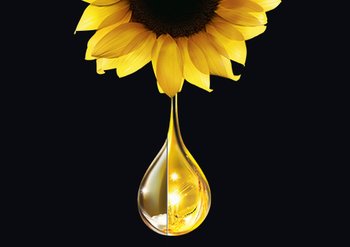 olia-how-to-apply-sunflower-with-oil-droplet