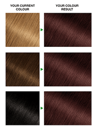 chestnut-brown-5-25-results