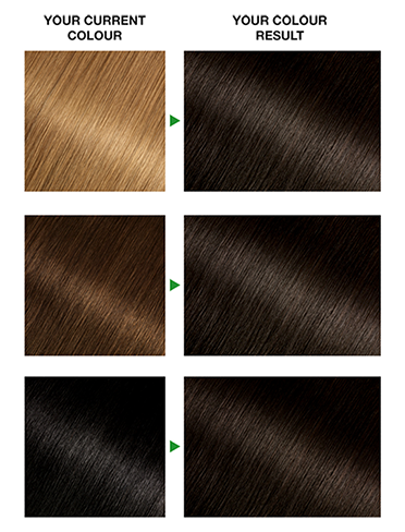 Darkest-Brown-3-Result-372x488