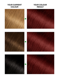 DeepRed46Result372x488