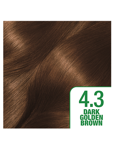 GoldenBrown43Shade372x488