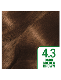 GoldenBrown43Shade372x488