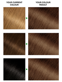 GoldenBrown53Result372x488