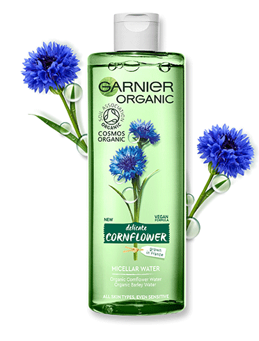 372x488_7360_GARNIER_ORGANIC-CORNFLOWER-MIC-WATER_BRANDBANK-IMG_1-FRONT-OF-PACK_V1-copy