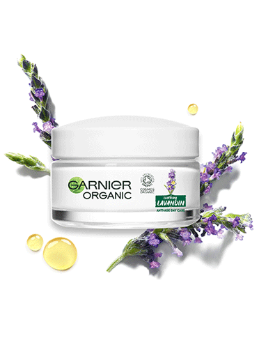 372x488_7360_GARNIER_ORGANIC-LAVENDIN-ANTI-AGE-DAY-CARE_BRANDBANK-IMG_1-FRONT-OF-PACK_V1-copy