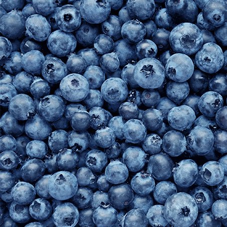 Blueberry