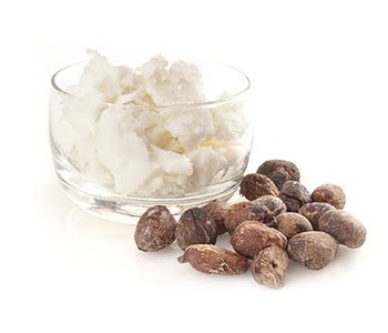shea butter in a glass with shea nuts
