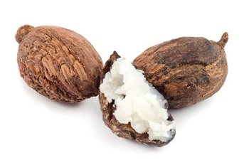 shea nuts
