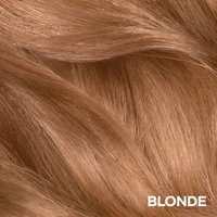 Blonde Swatch