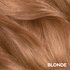 Blonde Swatch