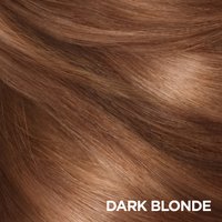 Dark Blonde Swatch