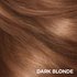 Dark Blonde Swatch