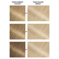 Olia 10.0 Shade swatch