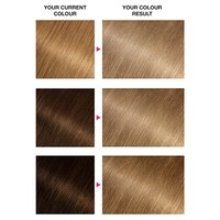 Olia 7.13 shade swatch