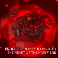 5-52 glossy merlot 2