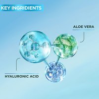 Key Ingredients